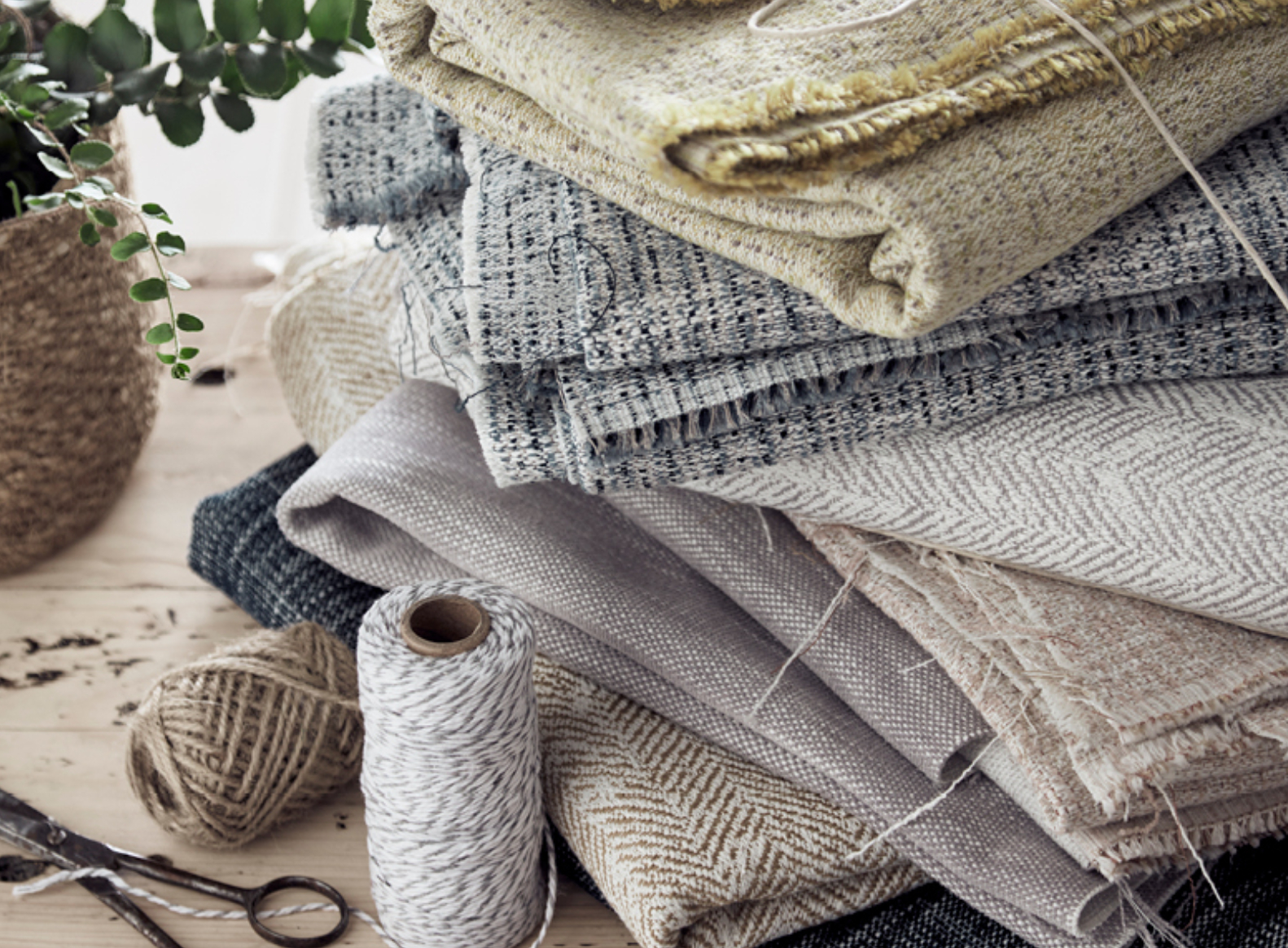 shutterstock_image-2021-08-05T215152.279